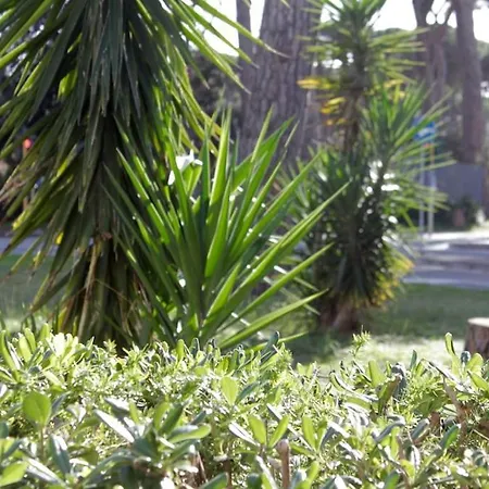 Tra Mare E Pineta Apartamento