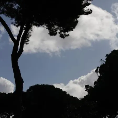 Tra Mare E Pineta Apartamento