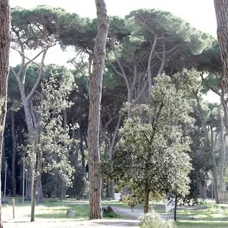Tra Mare E Pineta Lejlighed *