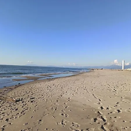 Apartamento Tra Mare E Pineta Viareggio